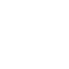 29. Treasure, protect, and promote our reputation - icon