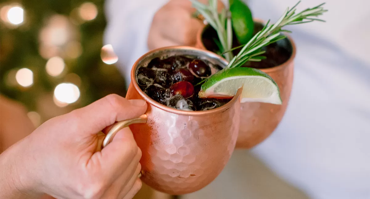 Gin and Cranberry Horseradish Mule