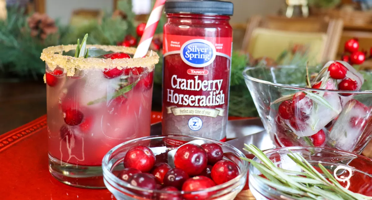 Cranberry Fizz Mocktail