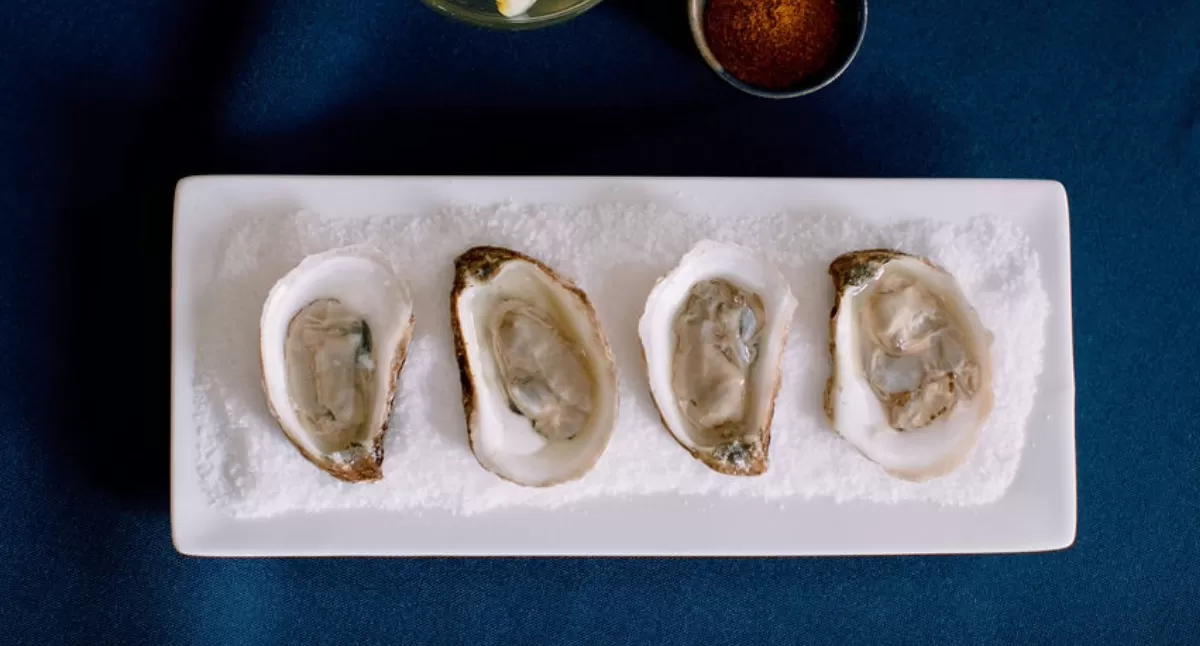 View Simple Oyster Platter Gallery - Image 1 Simple Oyster Platter